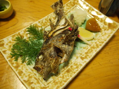 ごめんね