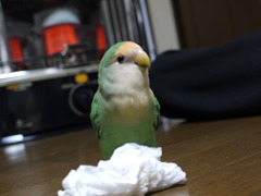 無題
