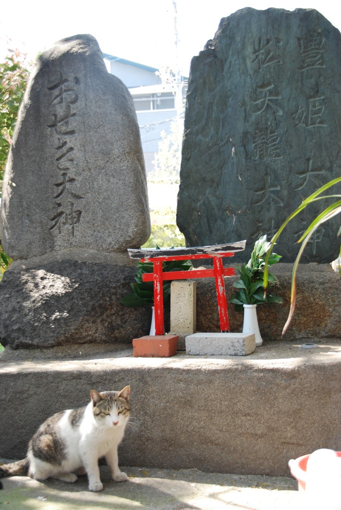 祠の番人