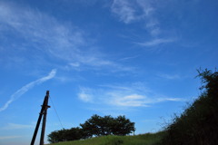 青