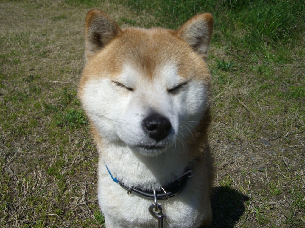 ああ眠い