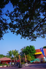 IMGP4673