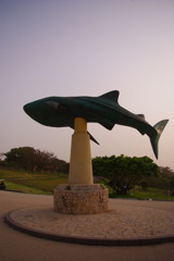 IMGP5018