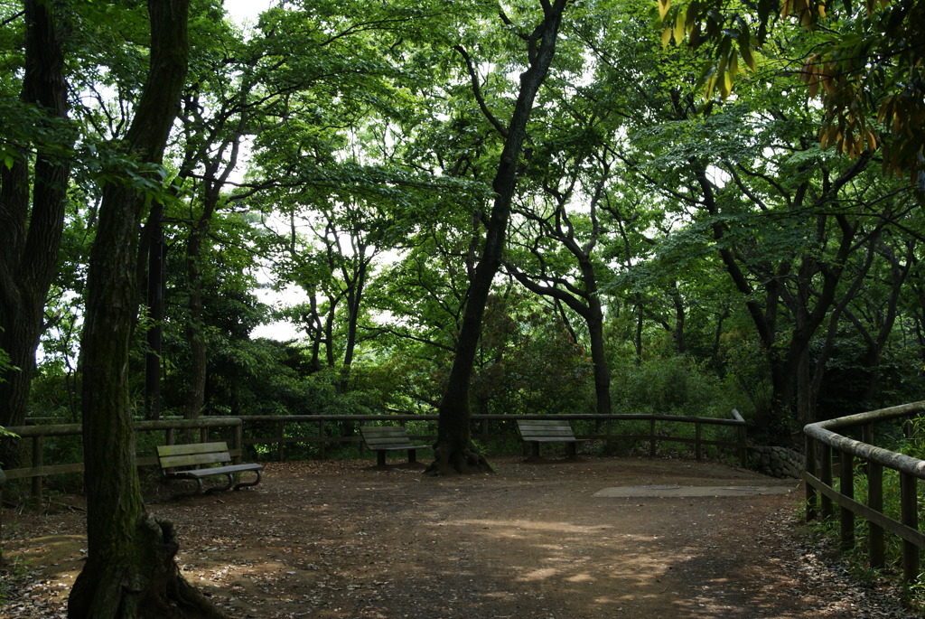 森林浴