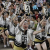阿波踊り～迫力の男踊り～