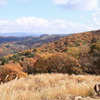 連山紅葉