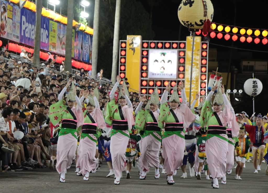 阿波踊り～酔狂連さん～