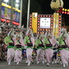 阿波踊り～酔狂連さん～