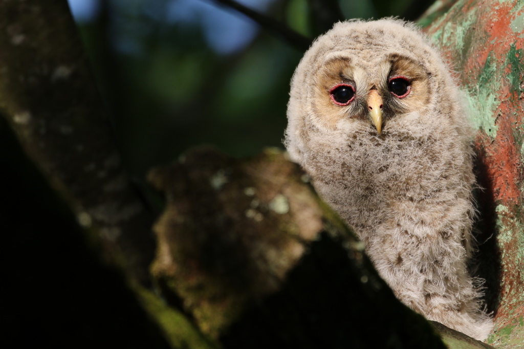 眼が覚めたじゃないか