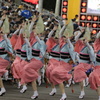 阿波踊り～うずき連さん～