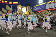 阿波踊り～艶やか～