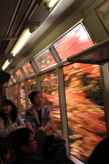 紅葉に染まる車窓