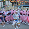 阿波踊り～葉月連さん～