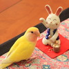 ピーちゃん　お正月のご挨拶