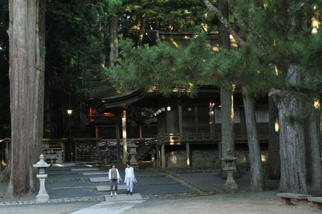 朝のお参り　燈明の如く
