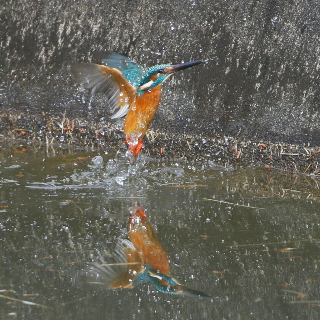バックが汚くて