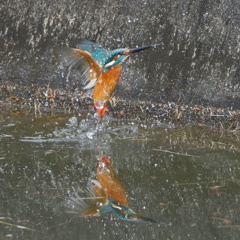 バックが汚くて