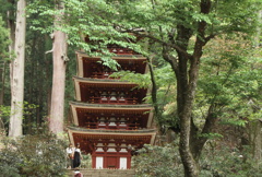新緑の古刹