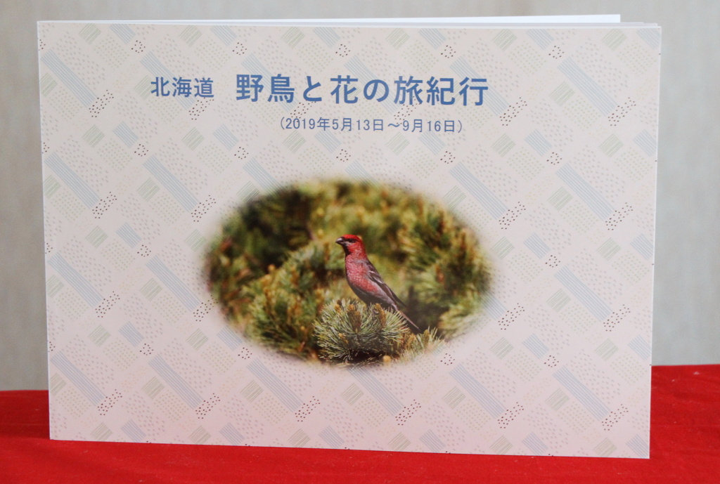『CP+2020』Mybook①