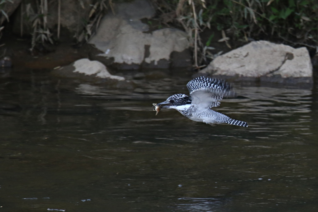 ママにお持ち帰り（2）