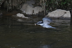 ママにお持ち帰り（2）