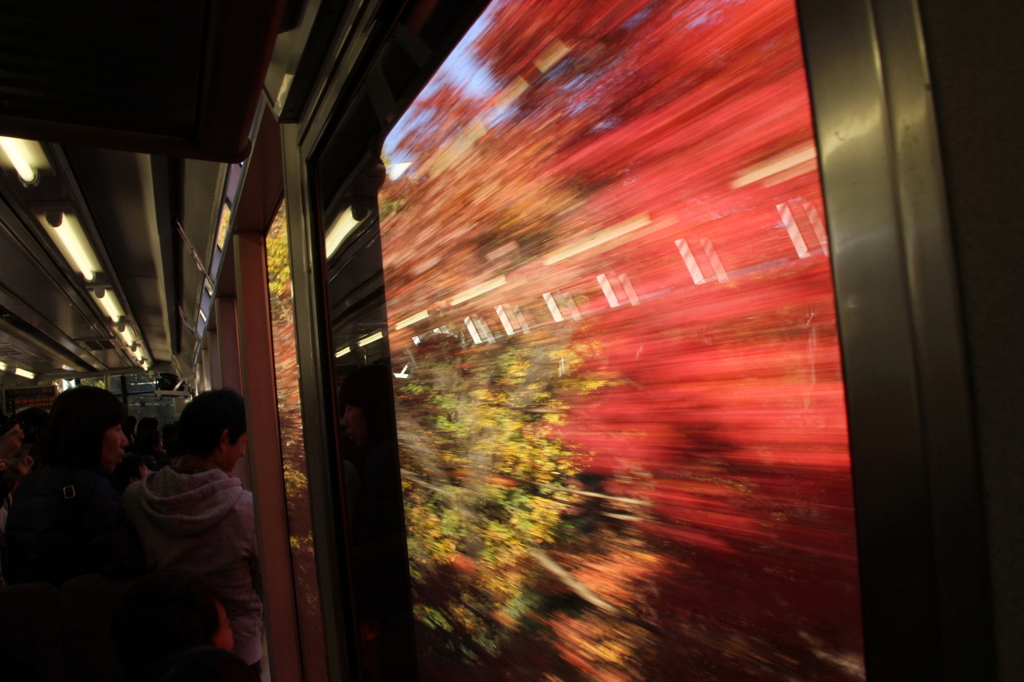 走る紅葉