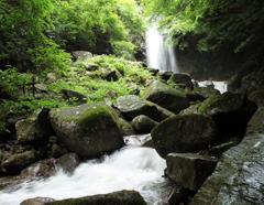 白藤の滝
