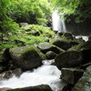 白藤の滝