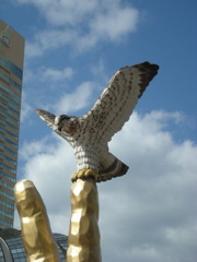 福岡の鷹