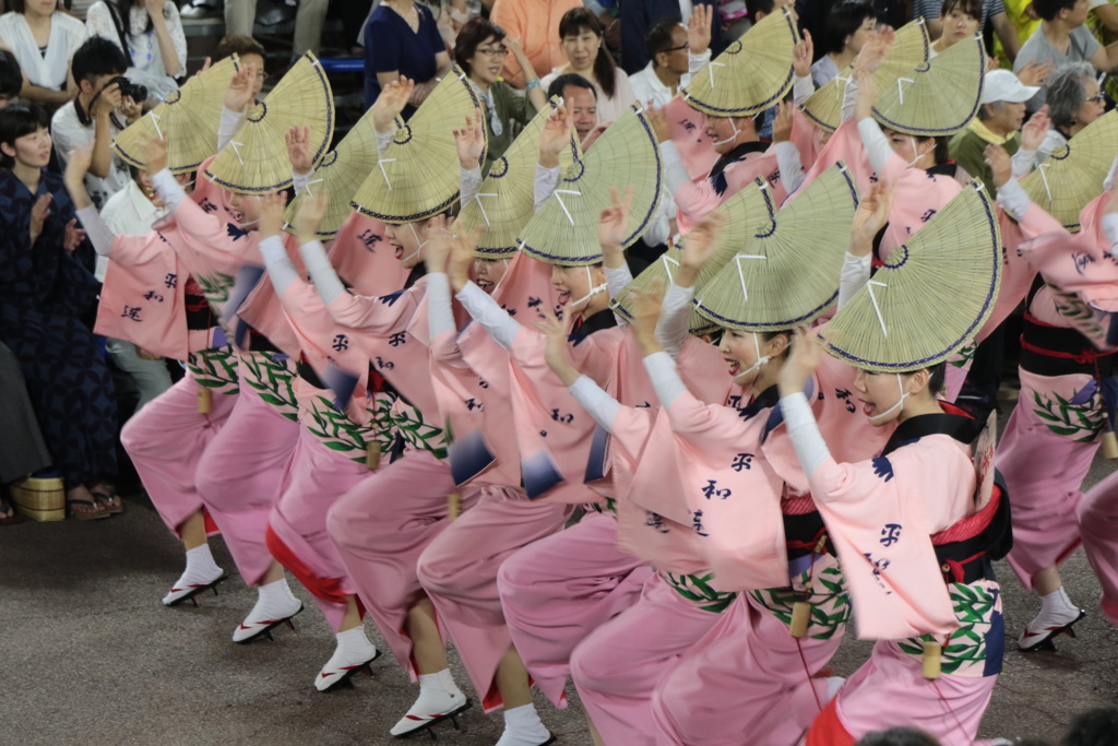 阿波踊り～平和連さん～
