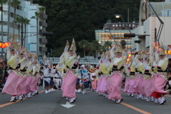 阿波踊り～つつじ連さん～