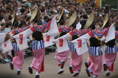 阿波踊り～華麗～