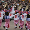 阿波踊り～華麗～