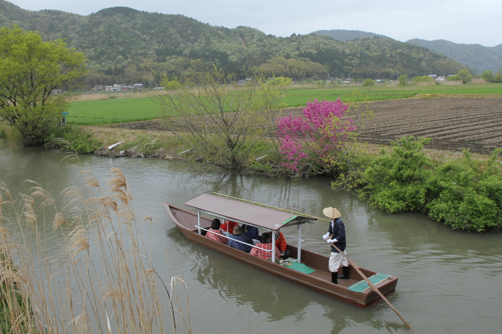 新緑の水郷巡り