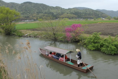 新緑の水郷巡り