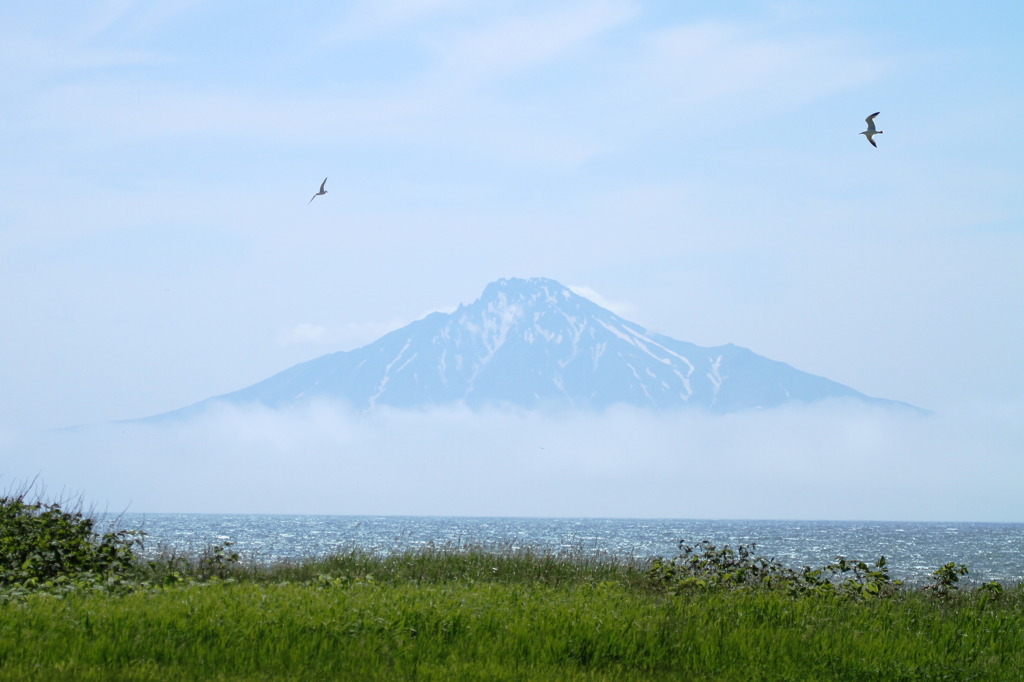 浮かぶ利尻富士