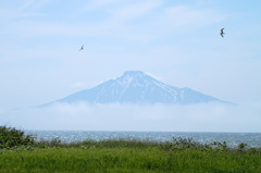 浮かぶ利尻富士