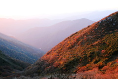 伊吹山の夕暮れの紅葉