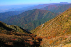 伊吹山の朝の紅葉