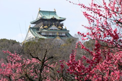 大阪城の春