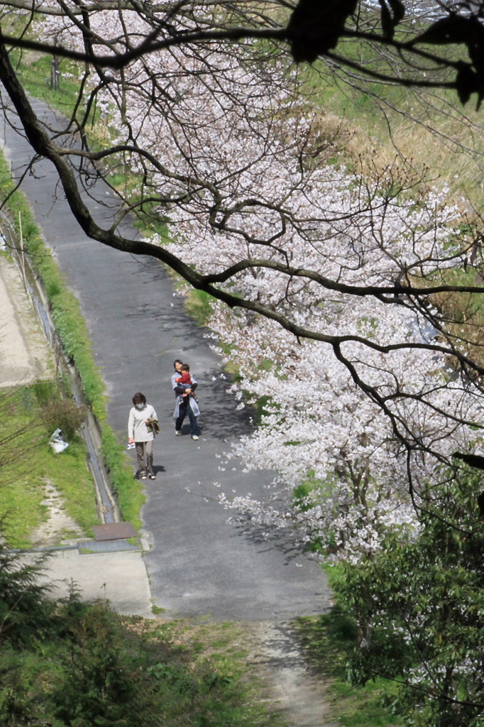 春のお見送り