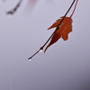 雨
