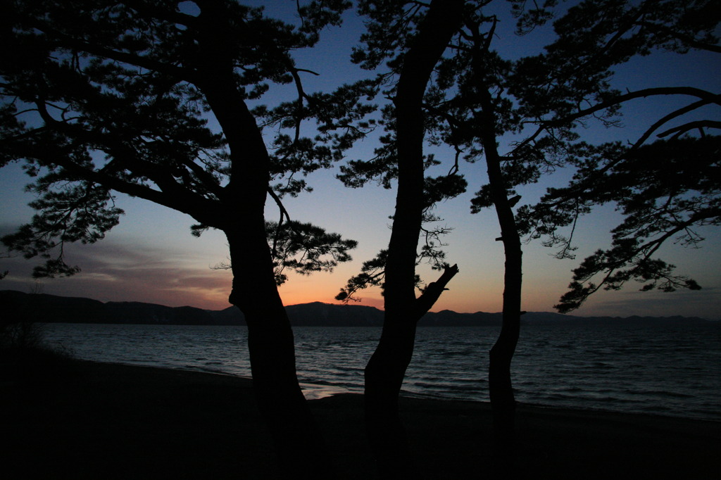 湖畔 夕焼けと松