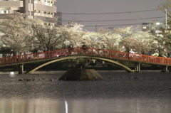 太鼓橋