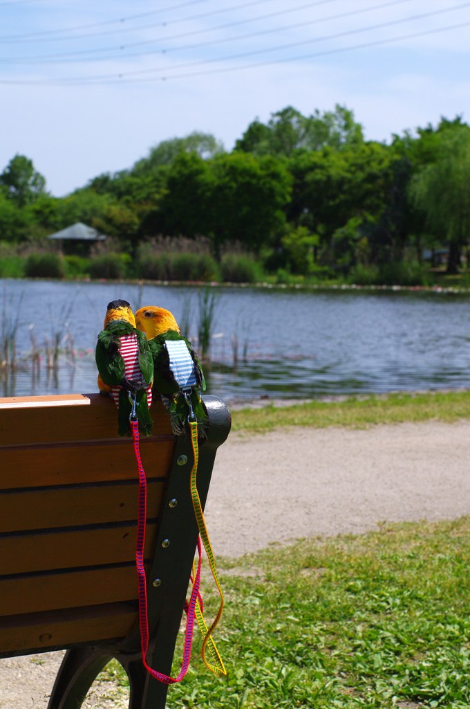 公園のベンチで♪
