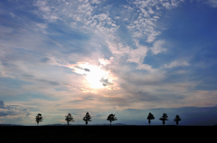 夕焼けを期待して