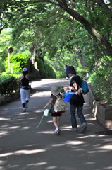 日曜日、公園の昼下がり