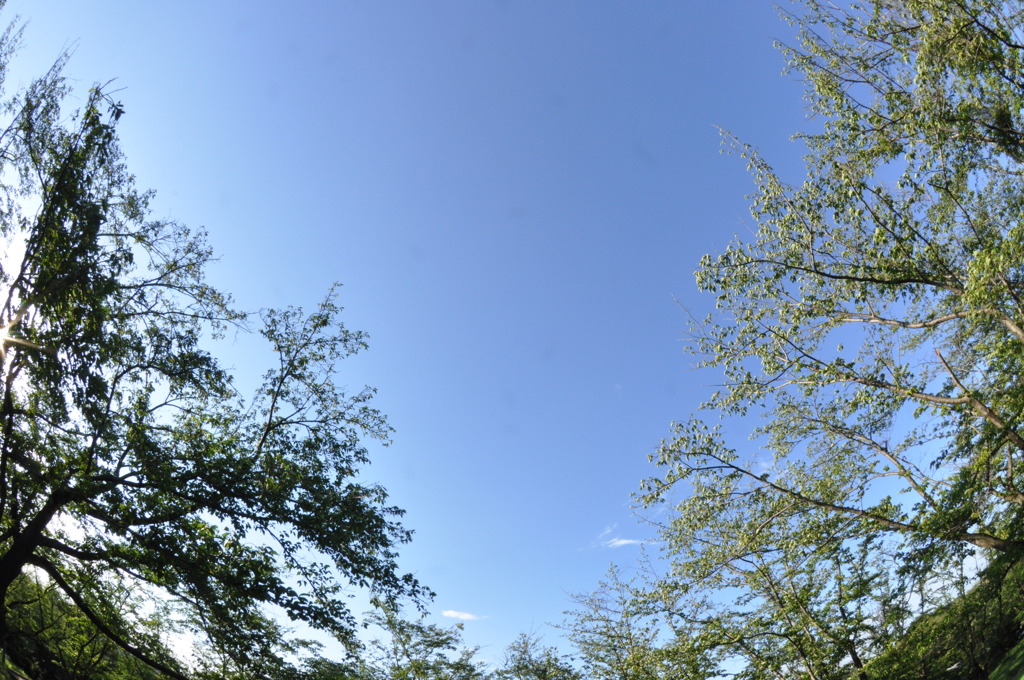 空を隔てたコントラスト