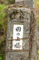 変わらない橋