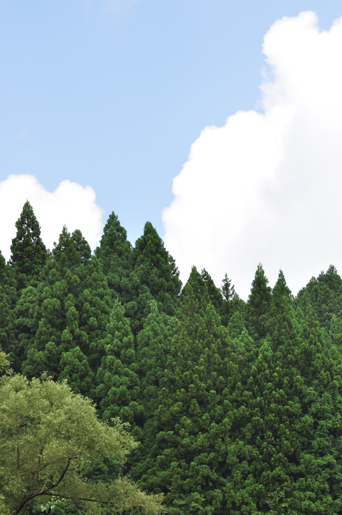 画のような夏景色